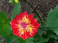 20140807_103337.webp