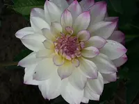 20140807_103443.webp