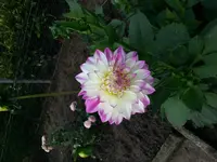 20140805_093625.webp