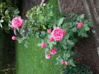 20140807_103211.webp