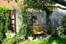 DSCF2540.webp