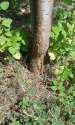 20140808_134923.webp