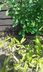 20140808_134937.webp