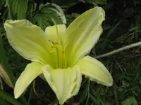 001_1024x768.webp