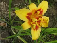 002_1024x768.webp