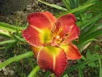 003_1024x768.webp