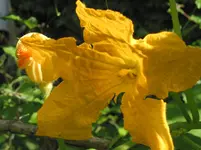 010.webp