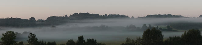 Morgennebel.webp
