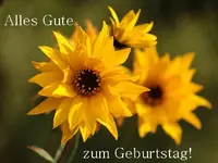 Gruss Sonnenblume.webp
