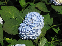 IMG_1562.webp