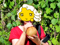coconutmilk v.webp