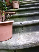 P1010091.webp