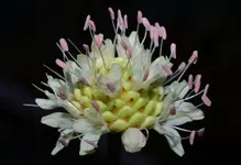 DSC_0052.webp