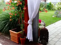 DSC02111.webp