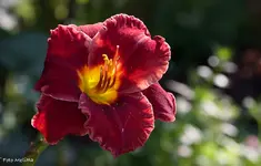 IMG_4542.webp