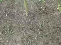 k-P1080208.webp