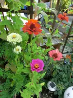 CIMG8406.webp