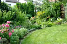 DSCF2542.webp