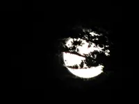Copy of IMG_9554 v.webp