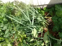 k-P1080210.webp k-P1080210.webp