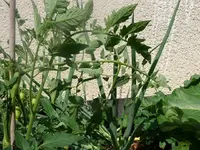 k-P1080211.webp k-P1080211.webp