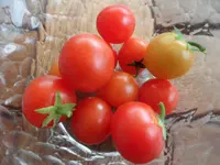 SAM_5184.webp