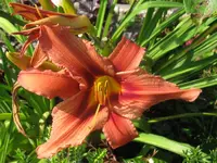 004_1024x768.webp