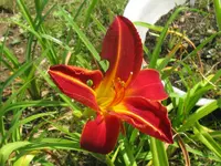 005_1024x768.webp