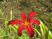 011_1024x768.webp