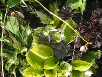 026_1024x768.webp