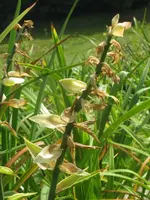 029_576x768.webp