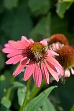 DSC_2262.webp