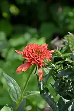 DSC_2266.webp
