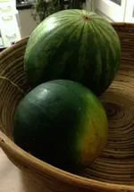 Melonen.webp
