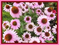 015.webp