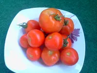 hutzuz 109.webp