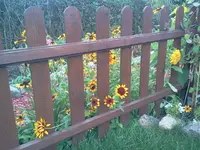 hutzuz 248.webp