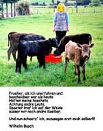 Copy of andre Kaelber v.webp
