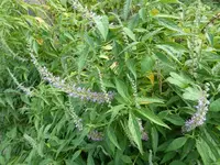 P1180170.webp