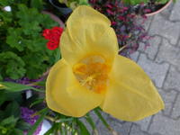 P1180154.webp