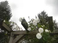 9.9.2010 003.webp
