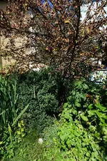 DSC09007.webp