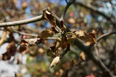 DSC09012.webp