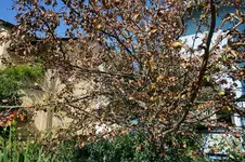 DSC09006.webp