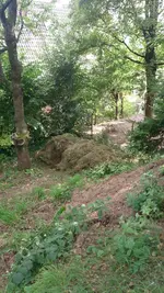 DSC_0109_r.jpg
