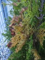 IMG_5417.webp