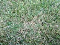 IMG_2050.webp