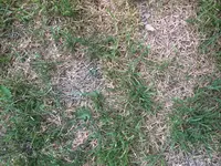 IMG_3989.webp