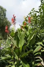 _DSC7004.webp