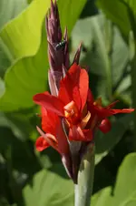 _DSC7003.webp